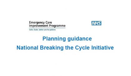 Planning guidance National Breaking the Cycle Initiative April 2015