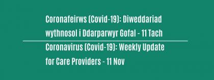 CORONAVIRUS (COVID-19): WEEKLY UPDATE FOR CARE PROVIDERS - 11 November