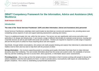 IAA Competency Framework